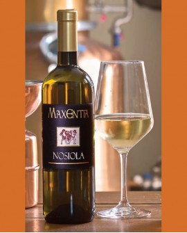 Vino Nosiola 750 ml - Maxentia