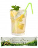 Puro Drink Zenzero e Limone estratto artigianale - monodose 40ml - Cartone da 50 pezzi - Puro Natura