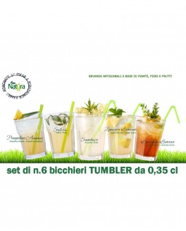 Bicchiere Tumbler da 0,35 cl da Drink - cartone da 6 pezzi - Puro Natura