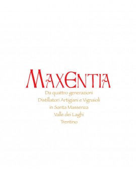 Grappa Teroldego 500 ml - Maxentia